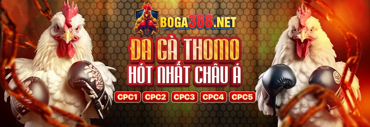Đá Gà Trực Tuyến fabet live